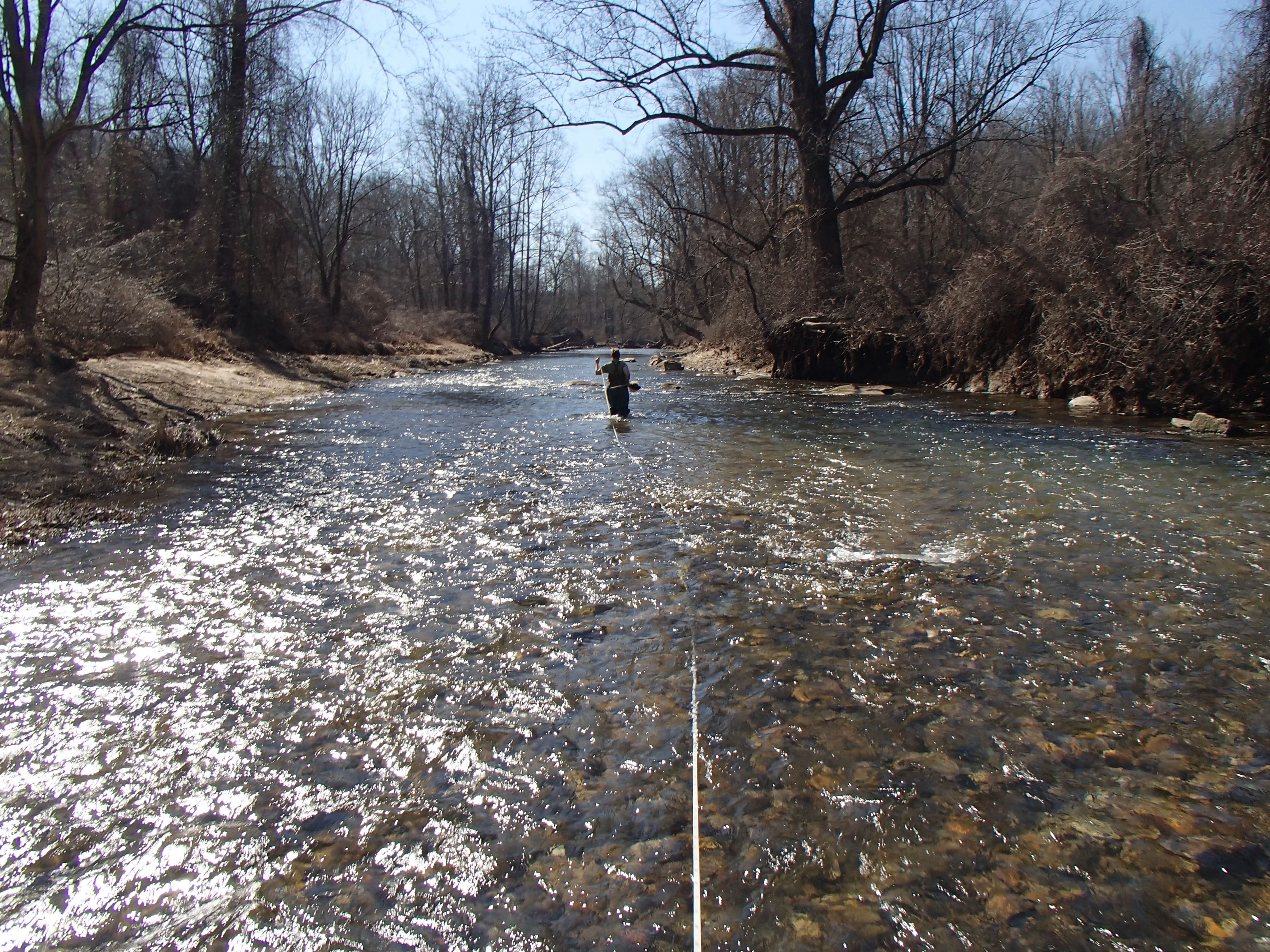 Field photo showing stream conditions at site BELK-303-R-2016_midpoint downstream